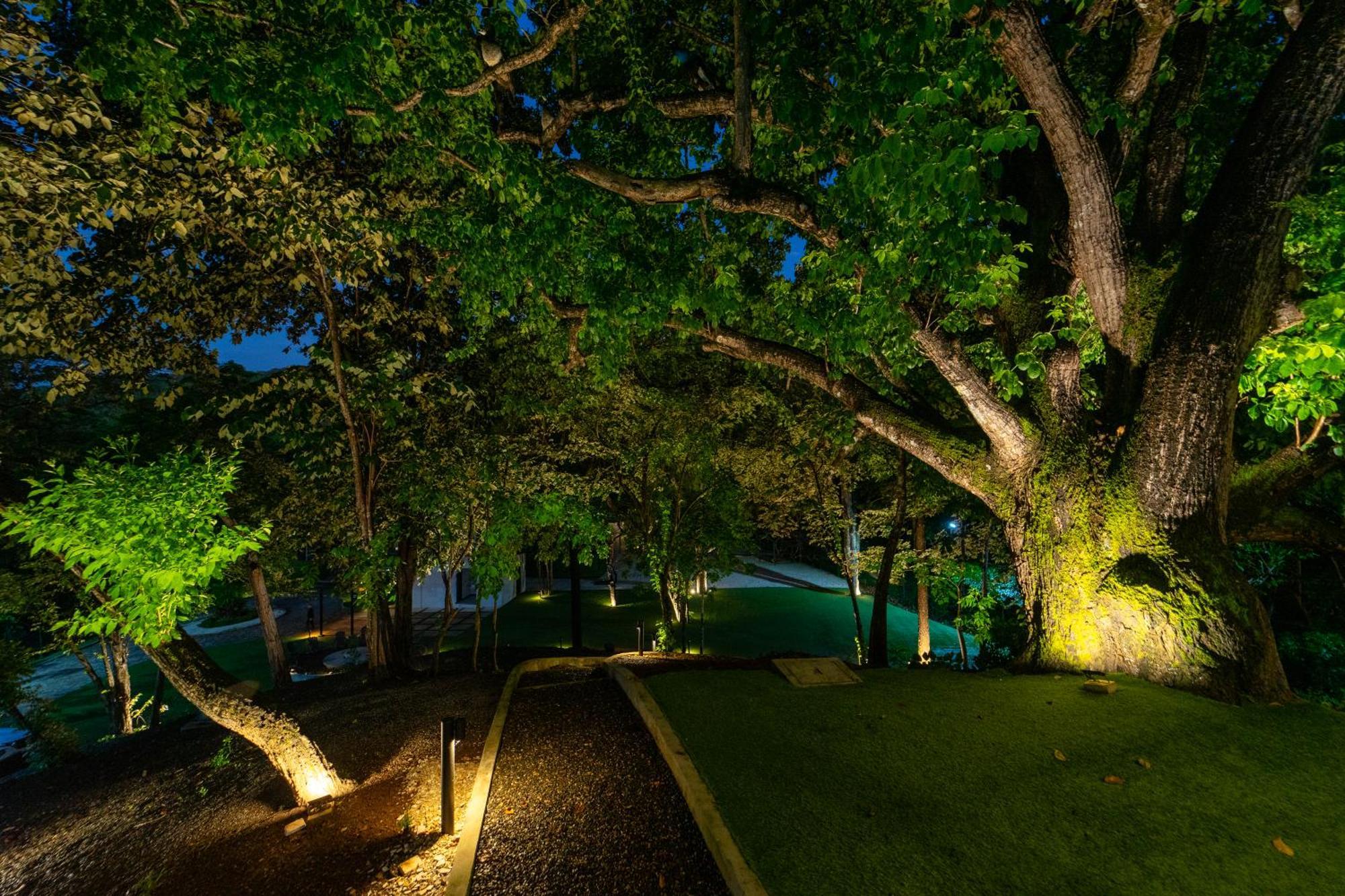 Epic Tamarindo Boutique Hotel Villarreal Kültér fotó
